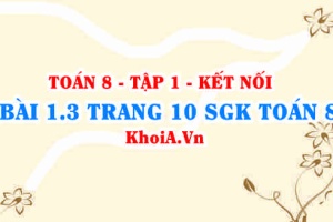Bài 1.3 trang 10 SGK Toán 8 tập 1 Kết nối tri thức